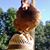 Red Sanders's profile image