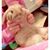 Yuri Tam's profile image