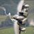 Paul Cruse's profile image