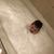 Katie Myers Letts's profile image