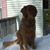 Deb Sousa Judd's profile image
