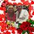 Paula MacNaughton Lawter's profile image