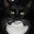 Wendy Troeder-Woodward's profile image