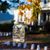 Pamela Shank Pentland's profile image