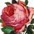 Donna Unden's profile image