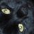 Connie Bowman Schweyer's profile image