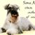 Willa Sessoms's profile image
