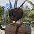Chipper Choquette's profile image