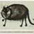 Mariah Piechowski's profile image