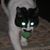 Denis J Letourneau's profile image