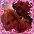 Shirlee Ponzo-Manahan's profile image