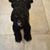 Wendy Florman Dotson's profile image