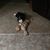 Kimberly Schultz-Olson's profile image