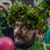 Andrea Vettori's profile image