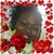 ReRe Golden's profile image