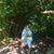 Danna Swindell's profile image