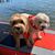 Bonnie Spurr's profile image