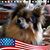 Wendy Westphall's profile image