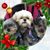 Kathy Seaman Ragan's profile image