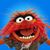 David J Stewart's profile image