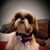 Suzanne N Richard Carnes's profile image