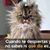 Chava Bautista's profile image