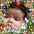 Citlaly Rocha's profile image