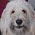 Karen Leach's profile image