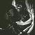 Dane Persic's profile image