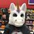 Gina Polito Crafton's profile image