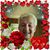Patty Patrick Bloss's profile image