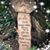 Rachel Bachand's profile image