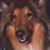 Faith Martin's profile image
