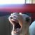 Mike Smilie's profile image