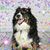 April Haubert's profile image