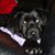 Linda Slabenak's profile image