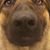John Adkins's profile image