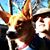 Mark Hopkins's profile image