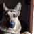 Joe Cerasani's profile image