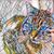 Alicia Boquete's profile image
