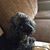 Lynn Douglas's profile image