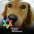 Ron Waitzman's profile image