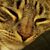 Dawn C.'s profile image
