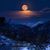 Ginger Woolard Newbold's profile image