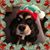 Sue Bloss Murray's profile image