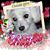 Martha Ramirez de Gamboa's profile image