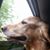 Eileen Kosmann's profile image