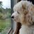 Barb Garren-Stratman's profile image