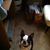 Carla Bube's profile image