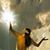 Julie J. Reimers's profile image